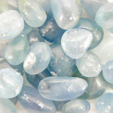 Celestina Rolls (Pack 100g)