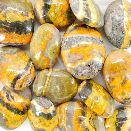 Bumblebee Jasper Rhodiola (Embalagem 30gr)