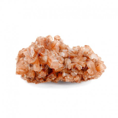 Morceau d'aragonite dans l'ébauche Grand