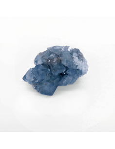 Celestina Drusas Pack (500gr) 2