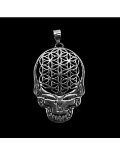 Pendentif plaqué argent -C61-