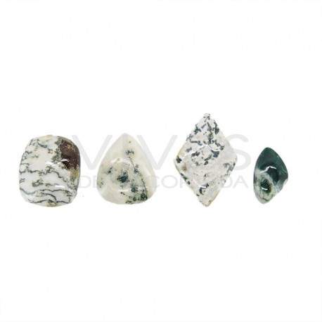 Cabochon d'agate en forme d'arbre (Pack 30gr)