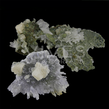 Flor d'Améthyste calidad A