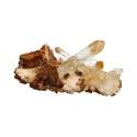 Halloysite Druse (Quartz Mango) CM15
