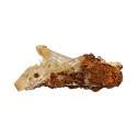 Halloysite Druse (Quartz Mango) CM15