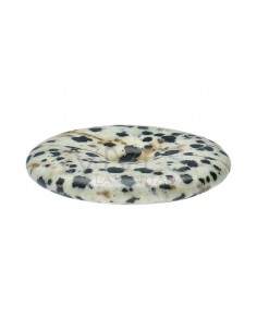 Dalmatian or Dalmanite... 2