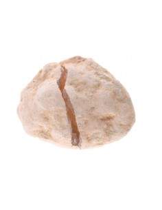 Medium Quartz Geode 2