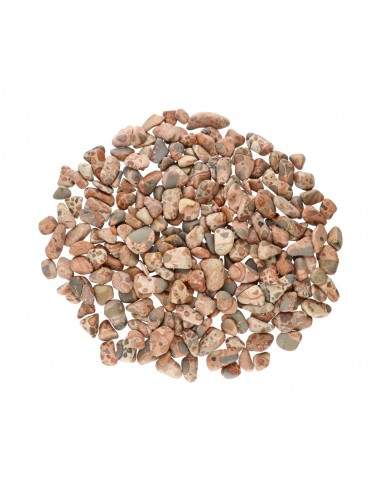 Jasper Leopard T-1 Rolls (Pack 250gr)