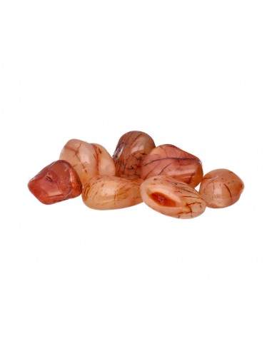 Carnelian Rhodies Extra Quality 3x2cm