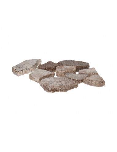 Coquille d'œuf de dinosaure