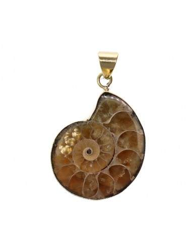 Ammonite Bronze Pendant -37-