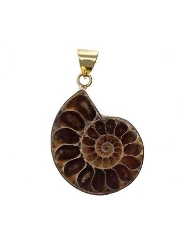 Colgante de Bronce Ammonite -37-