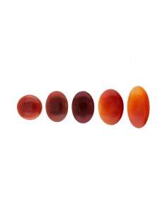 Carnelian cabochon