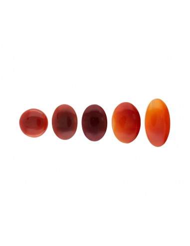 Cabochon de cornaline