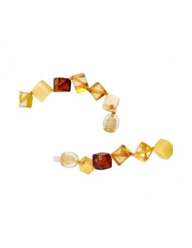 Amber Necklace with Insect (Y70)