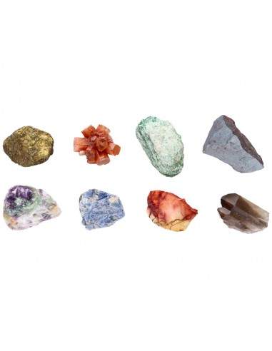 Pacote de Caixa Essencial B.1