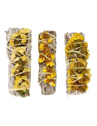 Sauge blanche avec Sinuata jaune