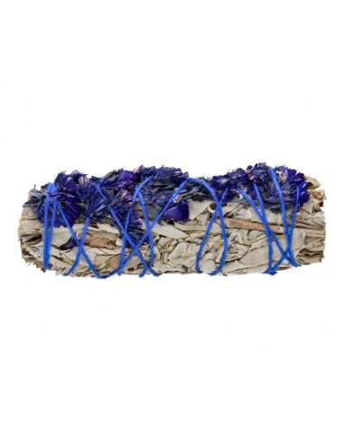 Sauge blanche avec Sinuata bleu