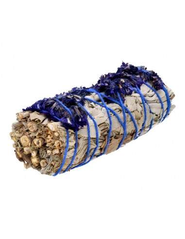White Sage with Blue Sinuata