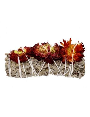 White Sage with Immortelle