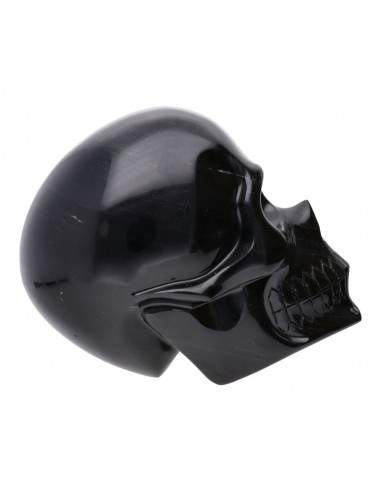 Calavera de Obsidiana Plateada COP2