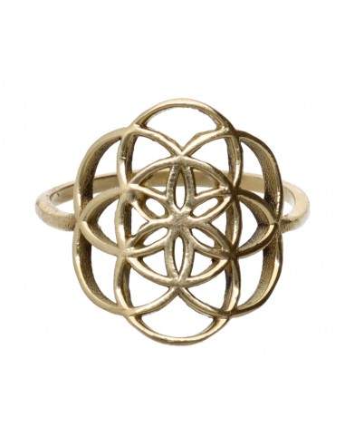Anneau de bronze -47-