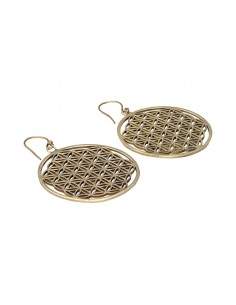 Large Bronze Earrings -20- 2