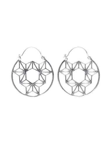 Silver Plated Earrings -P30- -P30-