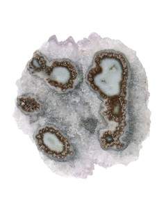 Fleur d'améthyste (FA5)