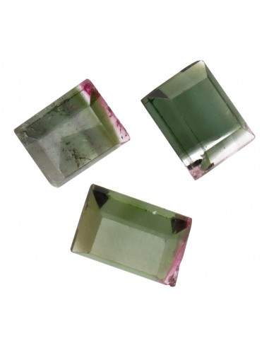 Cabochons de tourmaline bicolore...