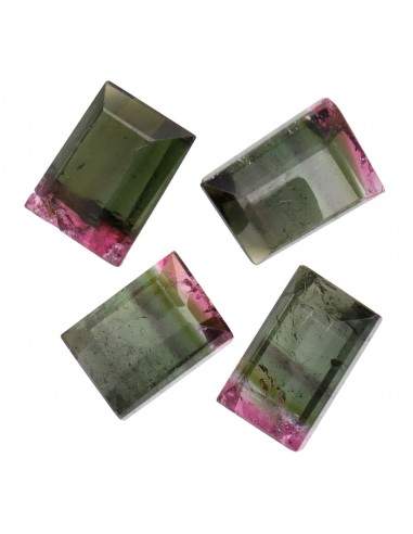Faceted Bicolor Tourmaline cabochons...