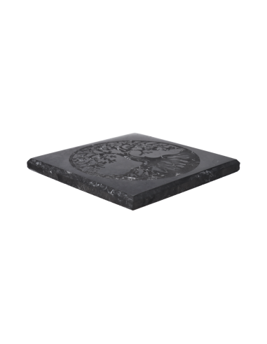 Plaque de shungite polie Arbre de vie