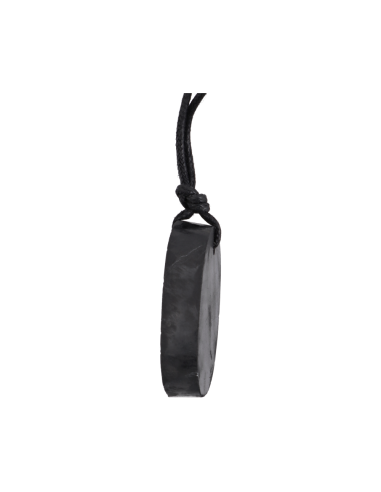 Large Oval Shungit Pendant