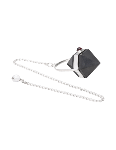 Pêndulo de Shungite Biterminado com...