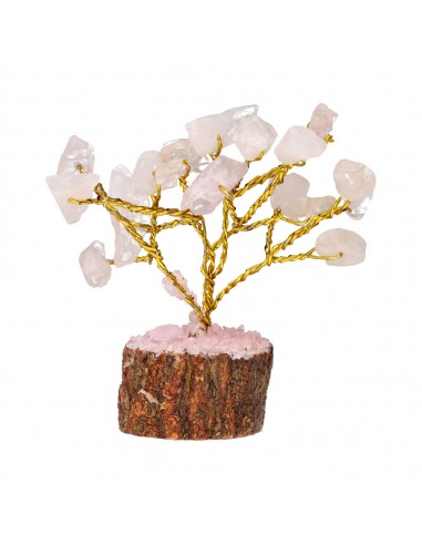 Lot de 12 mini-arbres avec minéraux