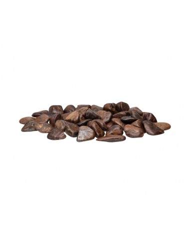 Rodados de Broncita T-2