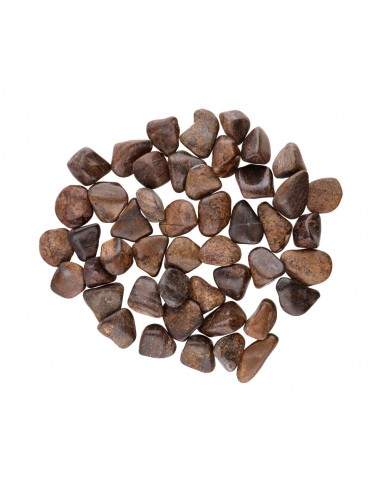 Rodados de Broncita T-2