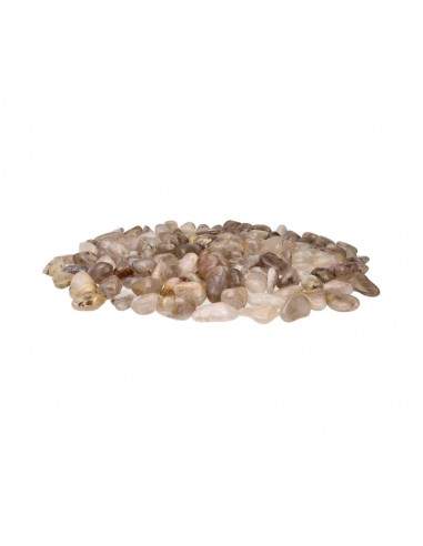 Rhodes de quartz rutilant 2x1,5cm
