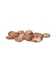T5 Leopard Jasper Rhodium T5