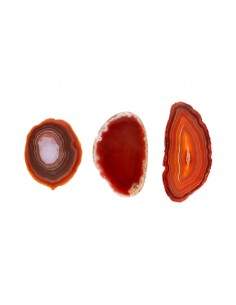 Small Tinted Brown Agate Plate 2