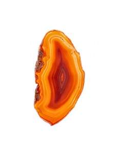 Medium Dyed Brown Agate Plate