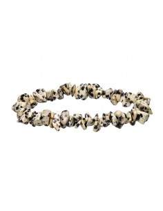 Dalmanite or Dalmatian...