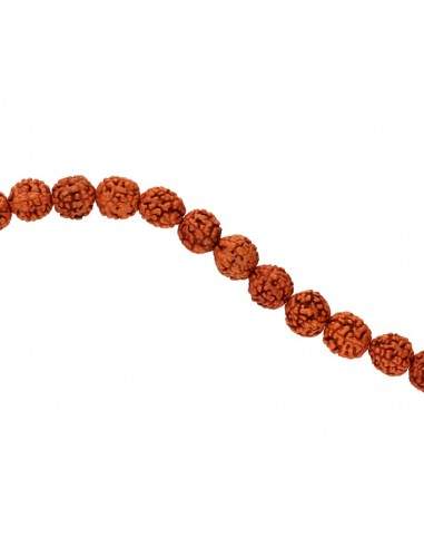 Mala con Semillas de Rudraksha