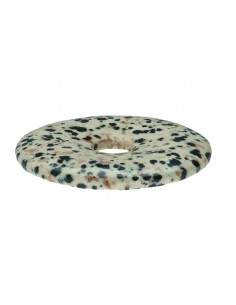 Dalmanite or Dalmatian... 2