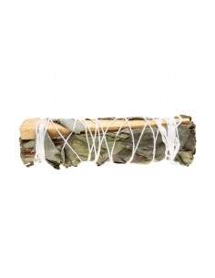 Palo Santo and Eucalyptus... 2