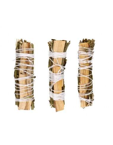 Palo and Ruda Sahumerio