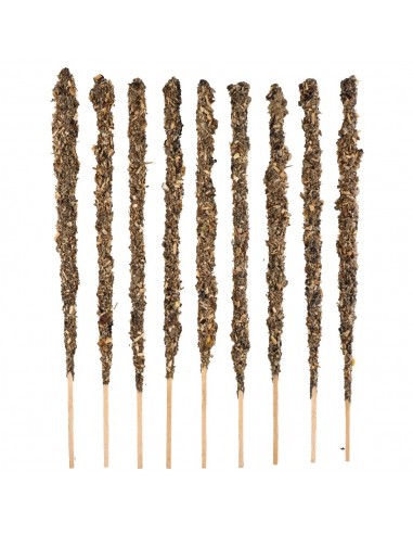 Sauge blanche - Mère sacrée