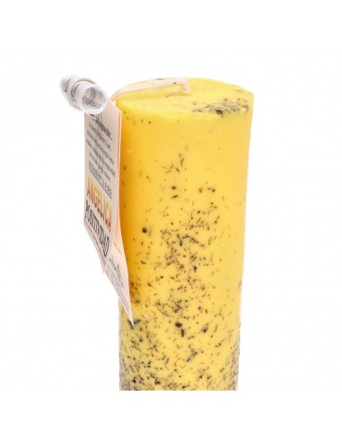 Positivity Ritual Candle com Angelica