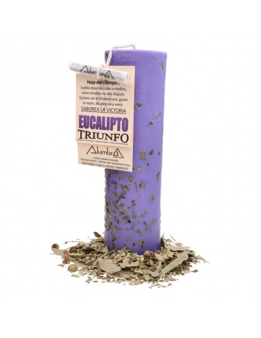 Bougie rituelle Triumph with Eucalyptus