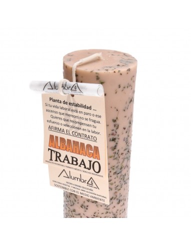 Trabalho ritual com vela de manjericão